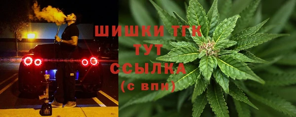 стафф Снежногорск