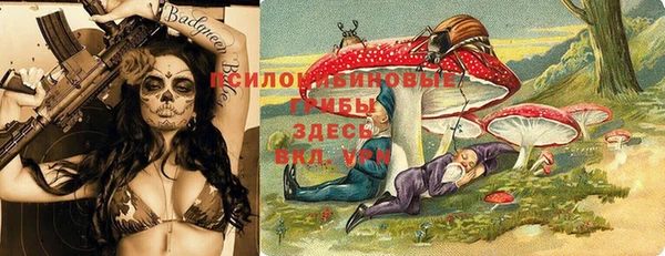 прущий лед Белоозёрский