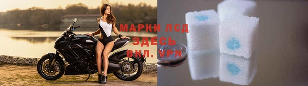 стафф Снежногорск