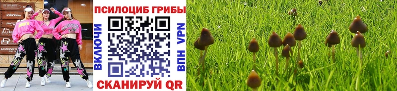 Галлюциногенные грибы прущие грибы  Высоковск 